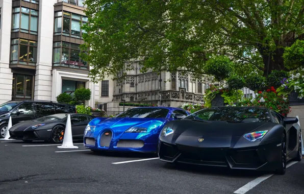 Bugatti, Veyron, суперкар, бугатти, Blue, ламборджини, Black, передок