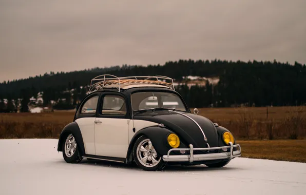 Volkswagen, Beetle, Volkswagen Beetle, bug