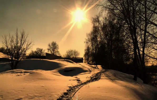 Картинка снег, деревья, село, winter, snow, sun, зимний день, sunlight