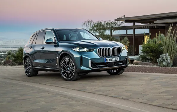 Картинка БМВ, внедорожник, BMW X5, SUV, 2023