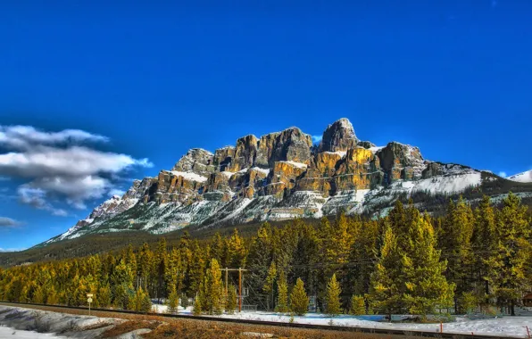 Картинка дорога, лес, небо, деревья, горы, Канада, Альберта, Castle Mountain