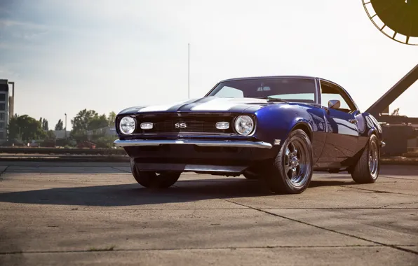 Картинка Chevrolet, Camaro, Blue, White, 1968, Stripes