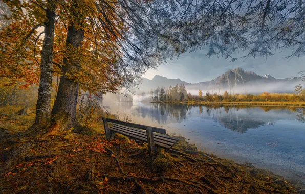 Картинка осень, деревья, горы, скамейка, природа, туман, озеро