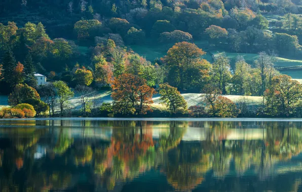 Картинка осень, деревья, озеро, Англия, склон, England, Cumbria, Камбрия