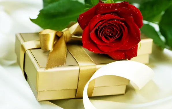 Картинка капли, подарок, роза, воды, красная, Коробка