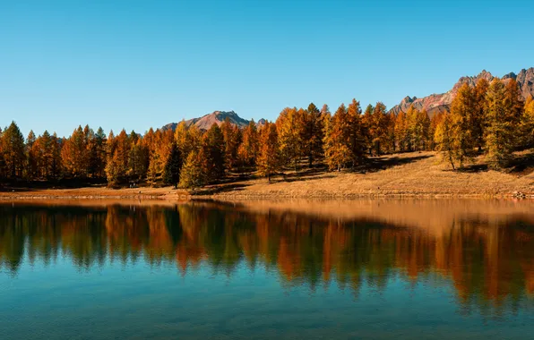 Осень, трава, деревья, горы, отражение, берег, красиво, водоем