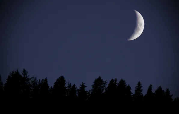 Небо, деревья, ночь, природа, луна, Marsel Minga