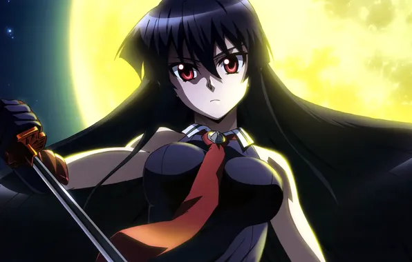 Девушка, катана, Akame, Akame ga kill, убийца Акаме, night raid