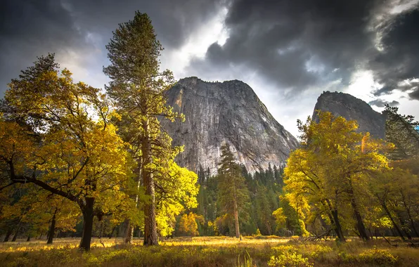 Осень, деревья, горы, Yosemite National Park