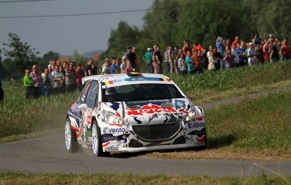 Поворот, Peugeot, Rally, 208, T16, ERC