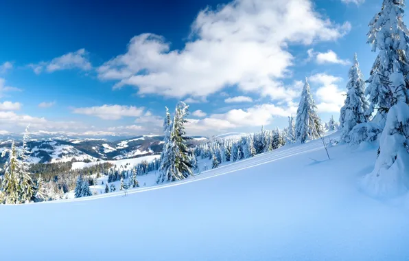 Картинка зима, небо, облака, снег, деревья, горы