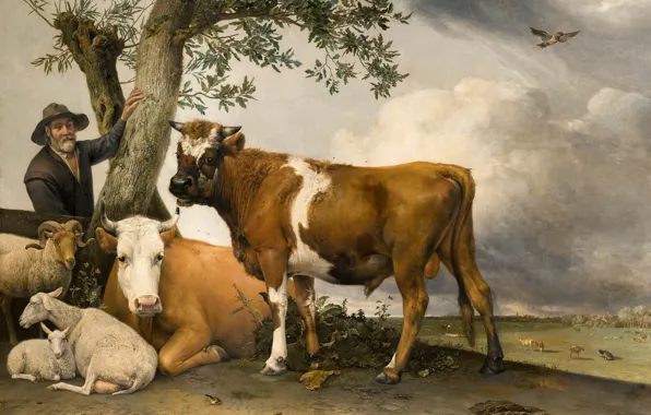 Young Bull, Paulus Potter, Dutch Golden Age