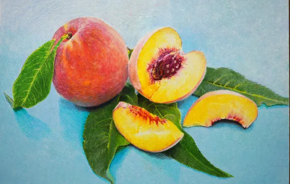 Листья, рисунок, картина, фрукты, живопись, персики, косточка, голубой фон