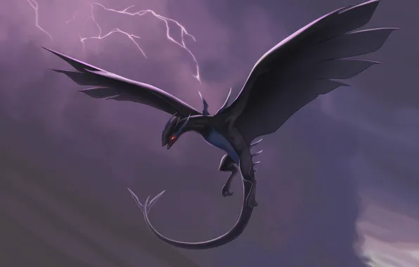 Небо, дракон, Покемон, Pokemon