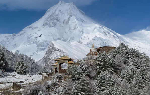 Картинка зима, лес, небо, снег, птица, гора, Тибет, храм