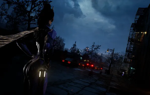 Попа, Desktop, City, ass, sky, night, batgirl, GothamKnights
