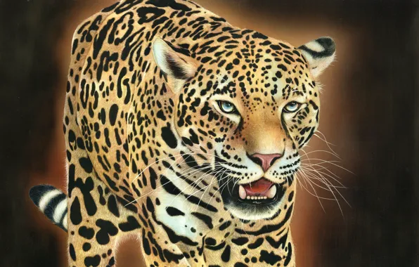 Кошка, морда, леопард, оскал