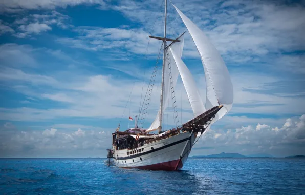 Море, корабль, парусник, паруса, парусное судно, liveaboard-50, Wisesa