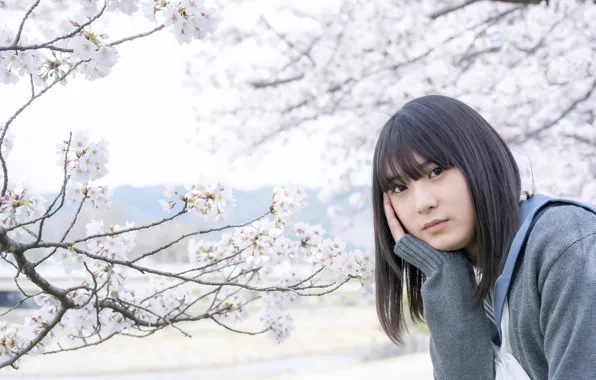 Sakura, women, asian