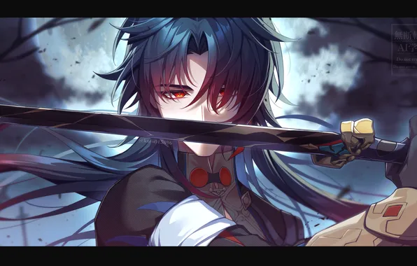 Ночь, луна, меч, вампир, парень, Blade, Honkai: Star Rail