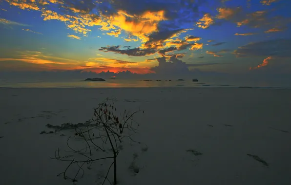 Картинка песок, море, небо, облака, берег, отлив, зарево