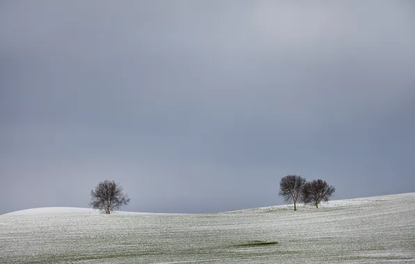 Поле, небо, пейзаж