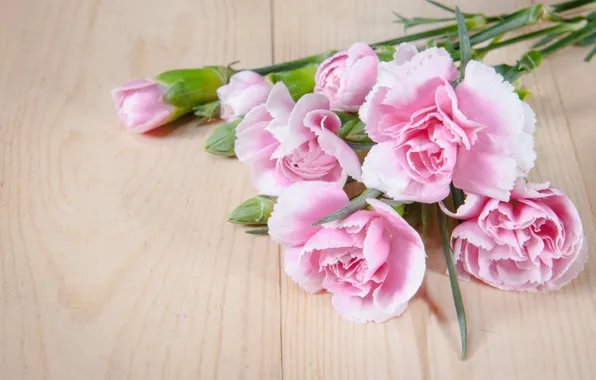 Картинка цветы, букет, лепестки, розовые, wood, pink, flowers, beautiful