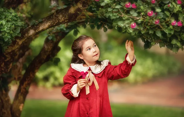 Картинка листья, цветы, природа, дерево, платье, девочка, ребёнок, Анастасия Бармина