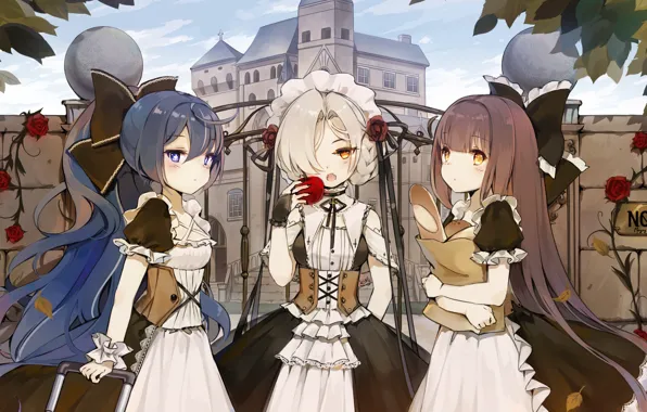 Sheffield, Azur Lane, Yoizuki, Harutsuki