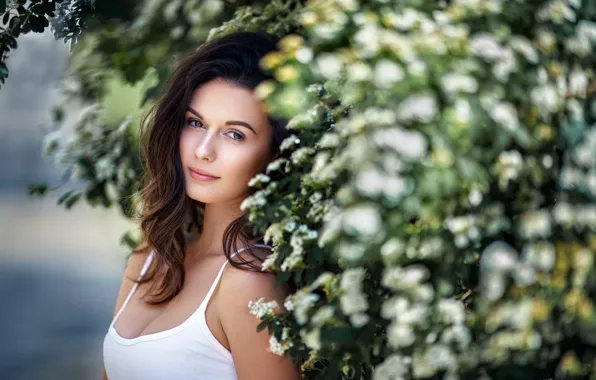 Картинка взгляд, девушка, лицо, модель, волосы