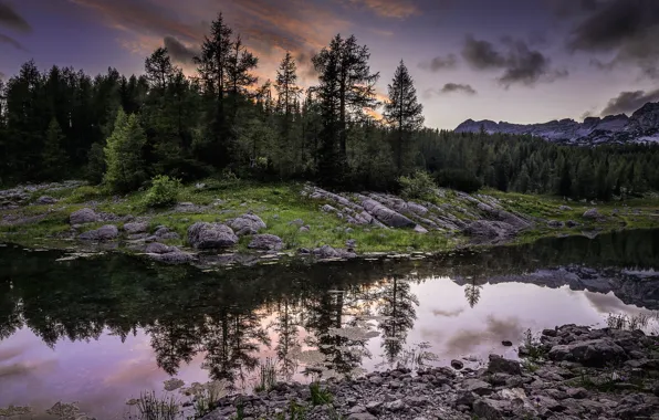 Картинка лес, река, вечер