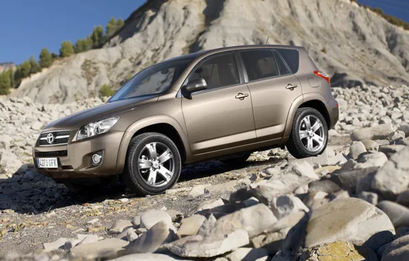Скала, камни, Toyota, RAV4