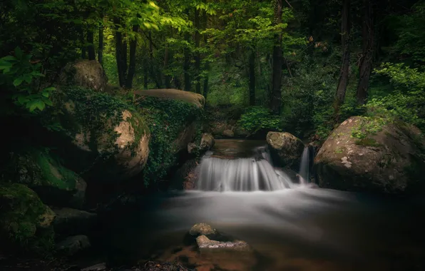 Картинка лес, камни, водопад