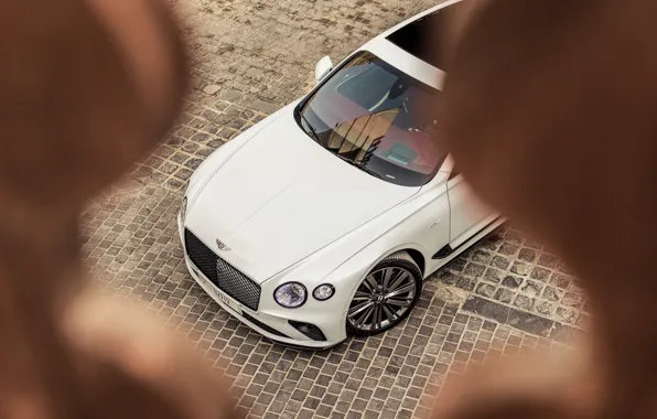 Картинка Bentley, Continental GT, Bentley Continental GT Speed