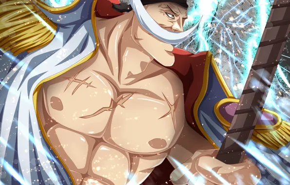 One Piece, anime, asian, manga, oriental, asiatic, japonese
