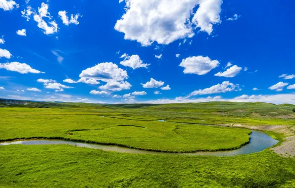 Зелень, поле, небо, трава, облака, река, синева, холмы