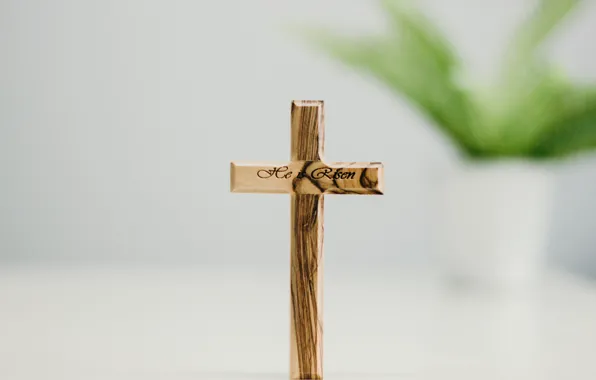 Love, Wood, Christian, God, Cross, Jesus, Eastern, Angelica Reyes