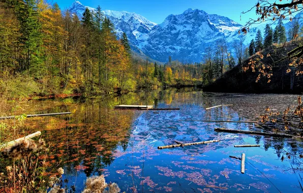 Картинка осень, лес, снег, деревья, горы, озеро, Австрия, Salzkammergut