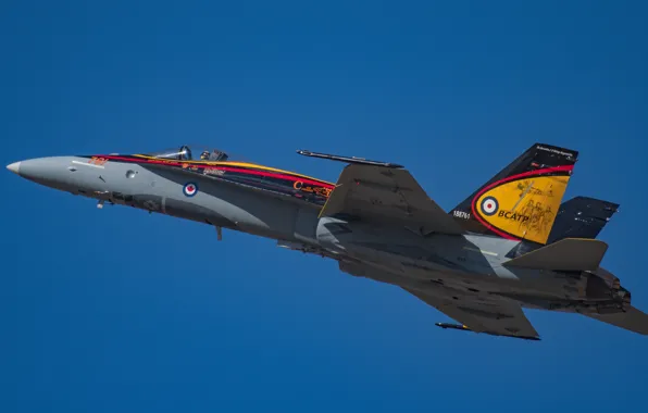 Полет, истребитель, Hornet, CF-18