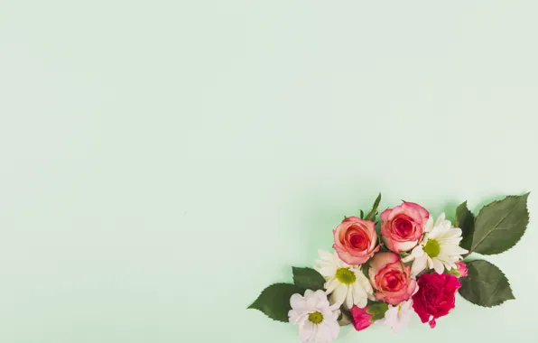 Розы, букет, composition, floral