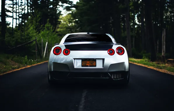 GTR, Nissan, wheels, спорткар, ниссан, rear, stance