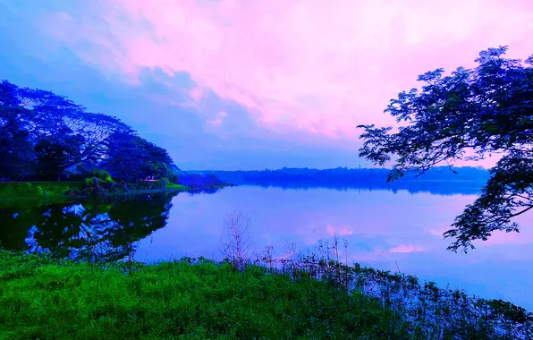 Clouds, Sky, Grass, Water, Sunrise, Dawn, Morning, Lake