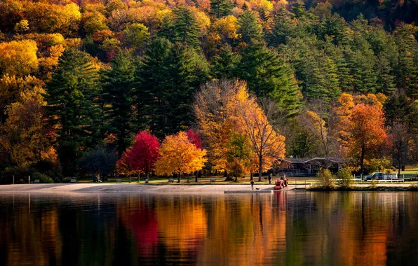 Осень, лес, солнце, деревья, река, берег, США, Vermont