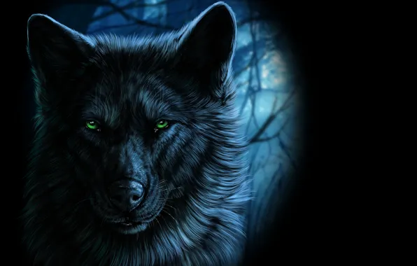 Картинка взгляд, волк, арт, зеленые глаза, wolfroad