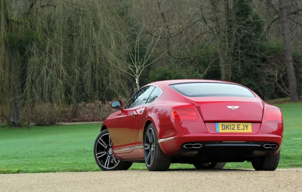 Трава, деревья, красный, Bentley, red, grass, continental, tree