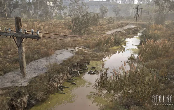 Сталкер, Stalker, Чернобыль, S.T.A.L.K.E.R. 2, S.T.A.L.K.E.R., Stalker 2, GSC Game World, Сердце Чернобыля