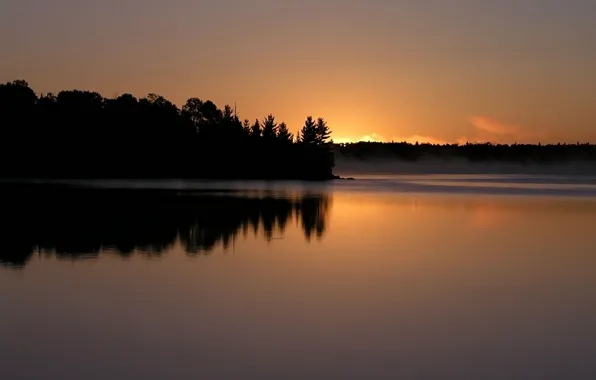 Картинка лес, природа, река, вечер