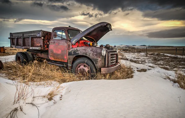 Картинка metal, snow, truck, abandoned, rust, dry vegetation
