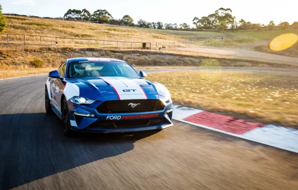 Ford, гоночный трек, Fastback, 2018, Mustang GT