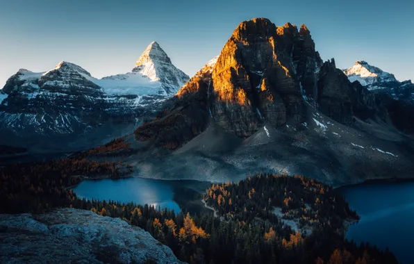 Картинка лес, горы, озеро, Альпы, forest, mountains, lake, Alps